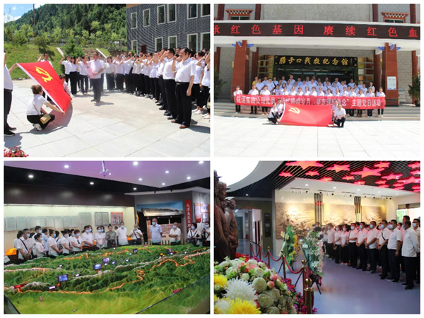 隴運集團(tuán)公司黨委積極開展慶“七一”系列活動